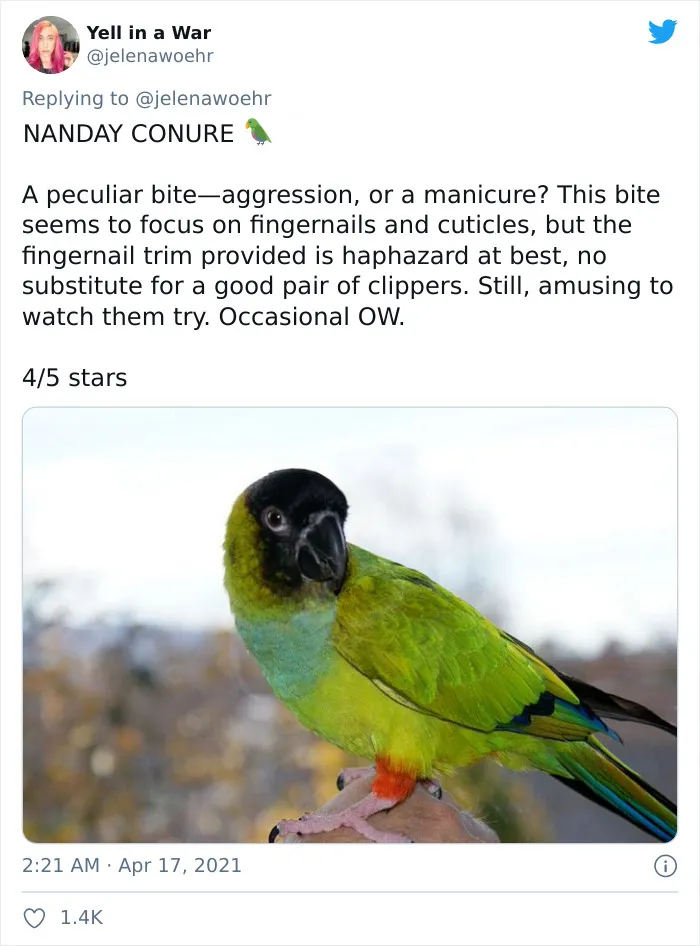 Woman On Twitter Educates People On Getting Bitten By These 20 Different Animals