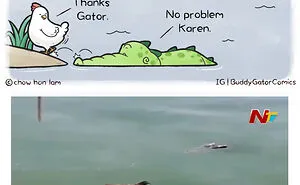 My 22 New Animal Comics To Spread Positivity
