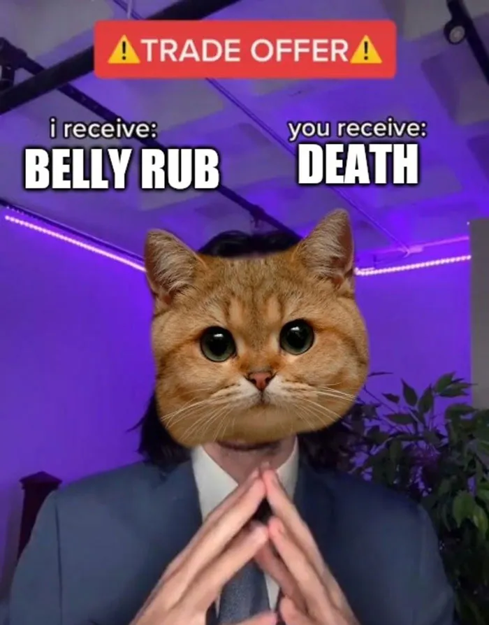 Feline Negotiation Skills
