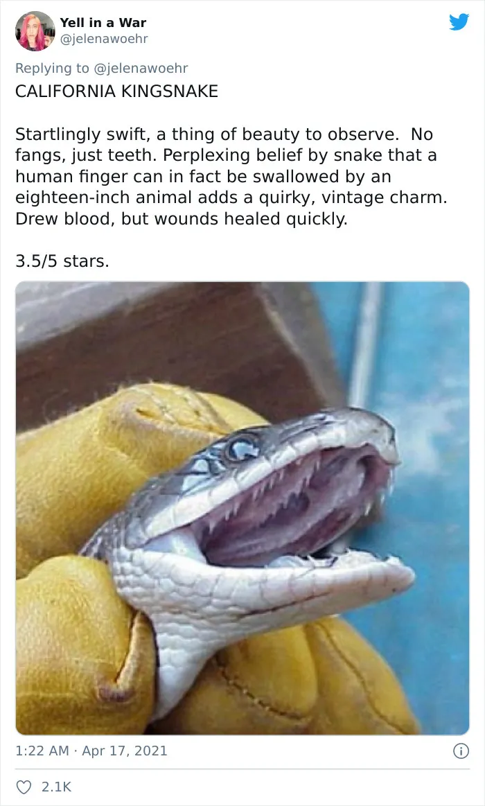Woman On Twitter Educates People On Getting Bitten By These 20 Different Animals