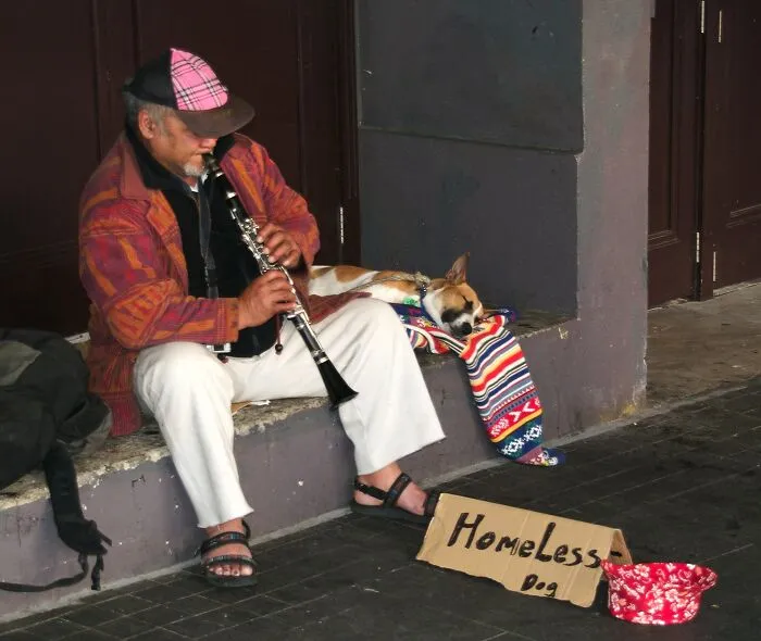 40 Foreigners That Visited The US Reveal What Was The Biggest Culture Shock For Them