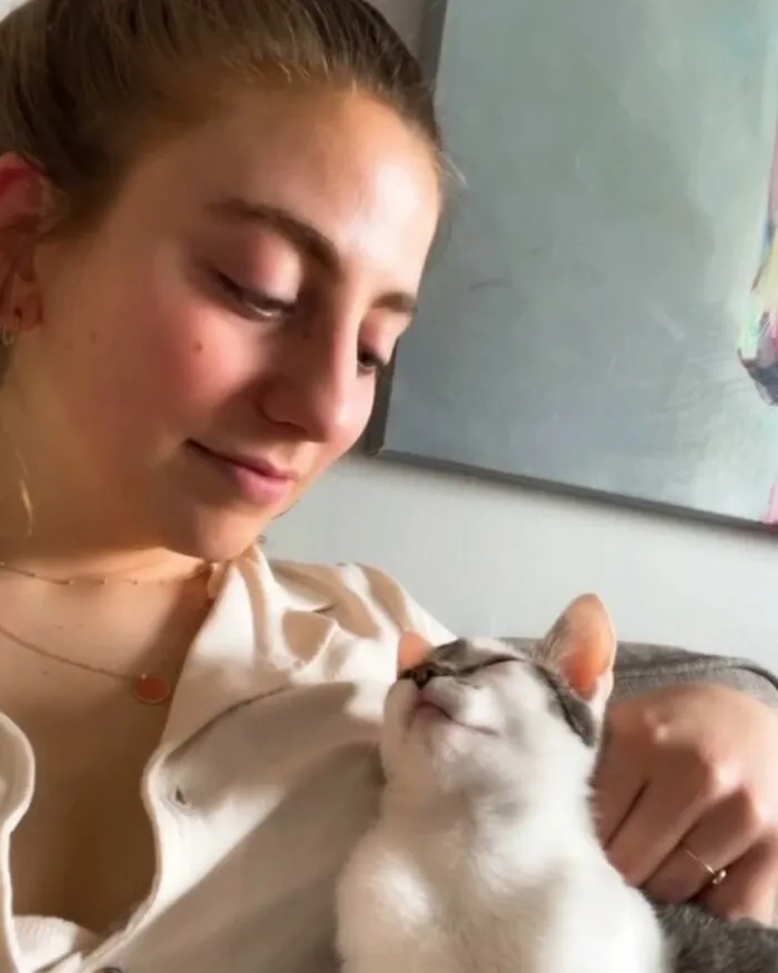 Adopté mi primer gato el mes pasado. Estaba nerviosa por ello, pero creo que ha encontrado su hogar. Os presento a Blueberry