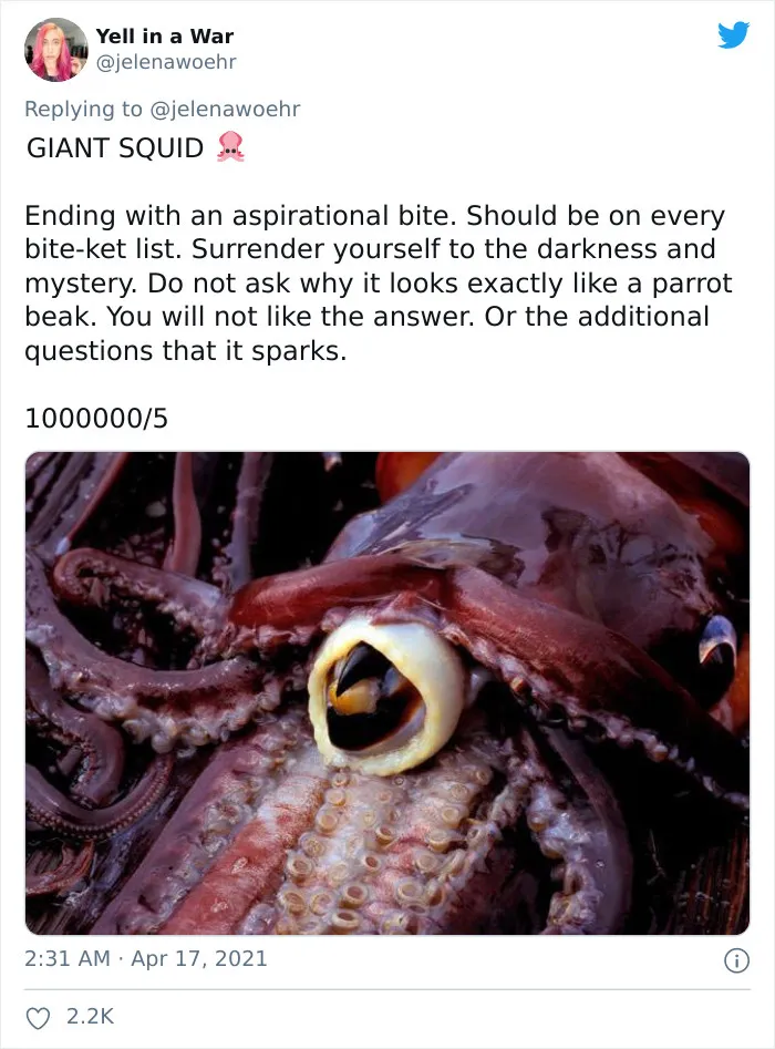 Woman On Twitter Educates People On Getting Bitten By These 20 Different Animals