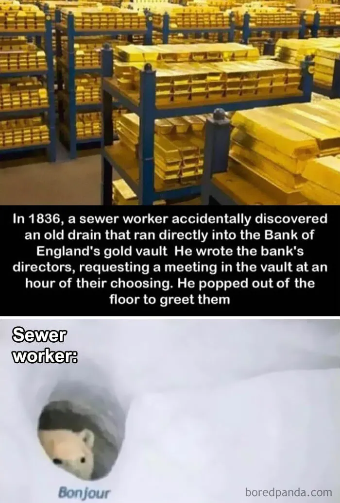 This Instagram Account Educates People By Explaining The Best History Memes Out There (30 Pics)
