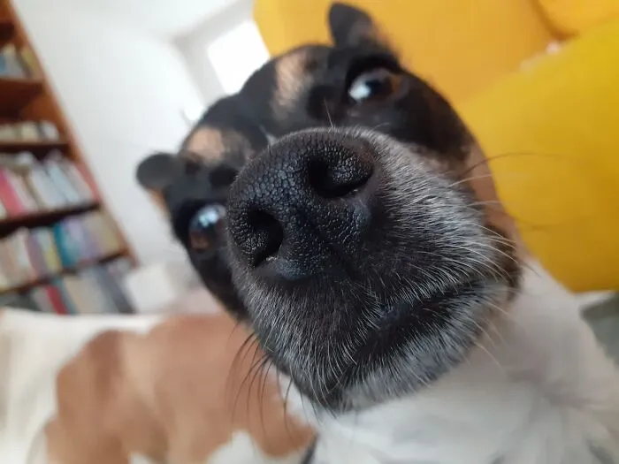 Her Best Angle :)