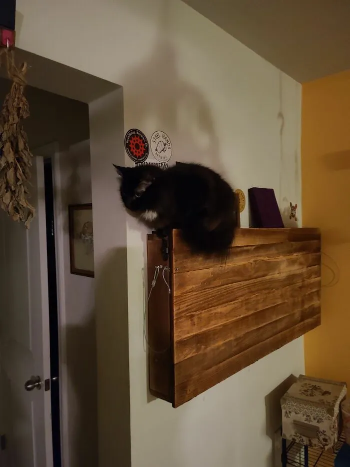 If I Fits I Sits