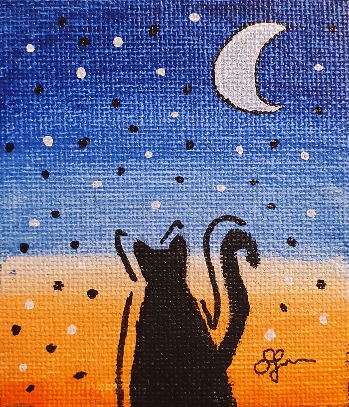 Evening Cat