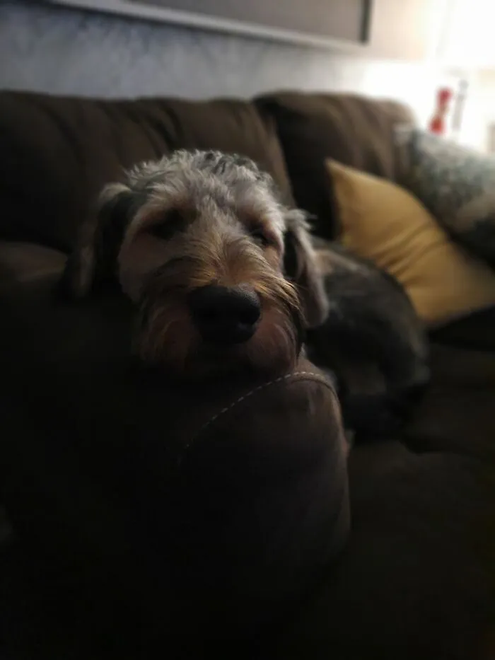 Bestest Boy!
