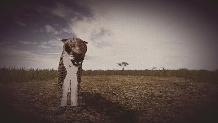Here Is My Current One, I Change Animals Every Month.
