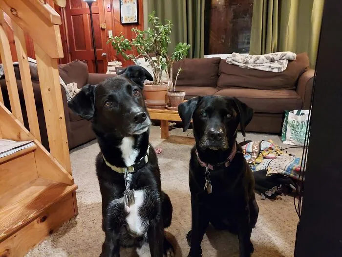 Storm And Stella