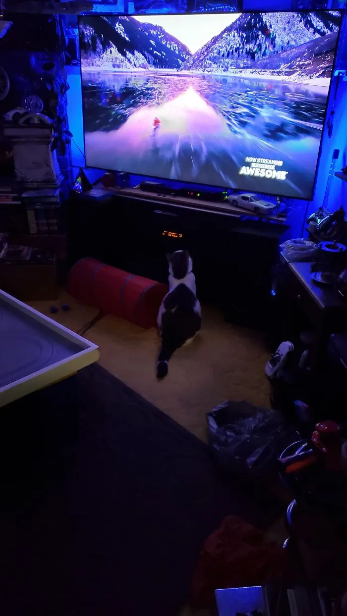 Mouse ... Watching TV