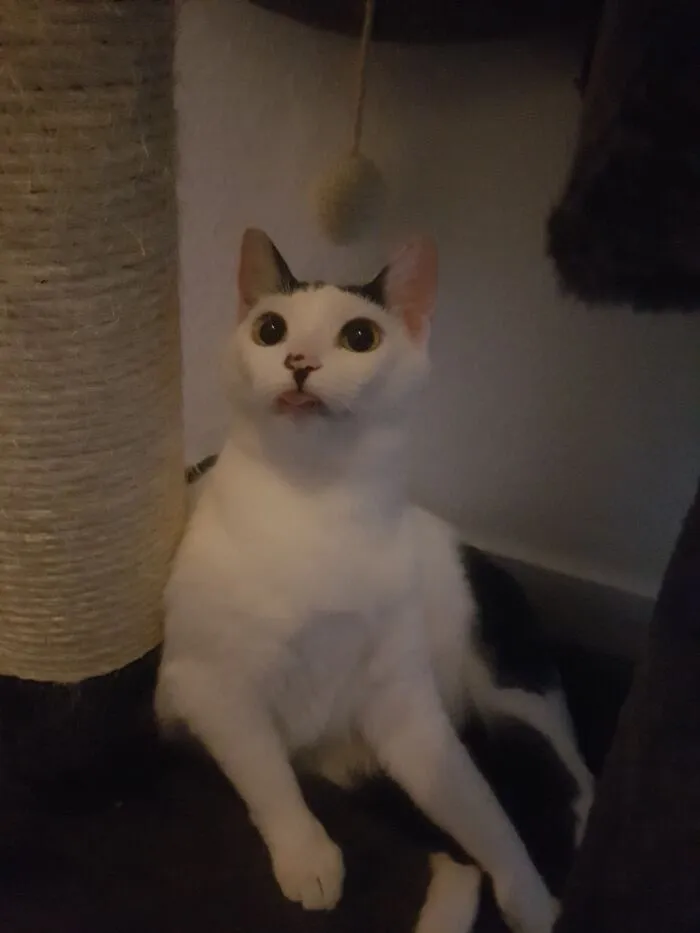 She's.....special