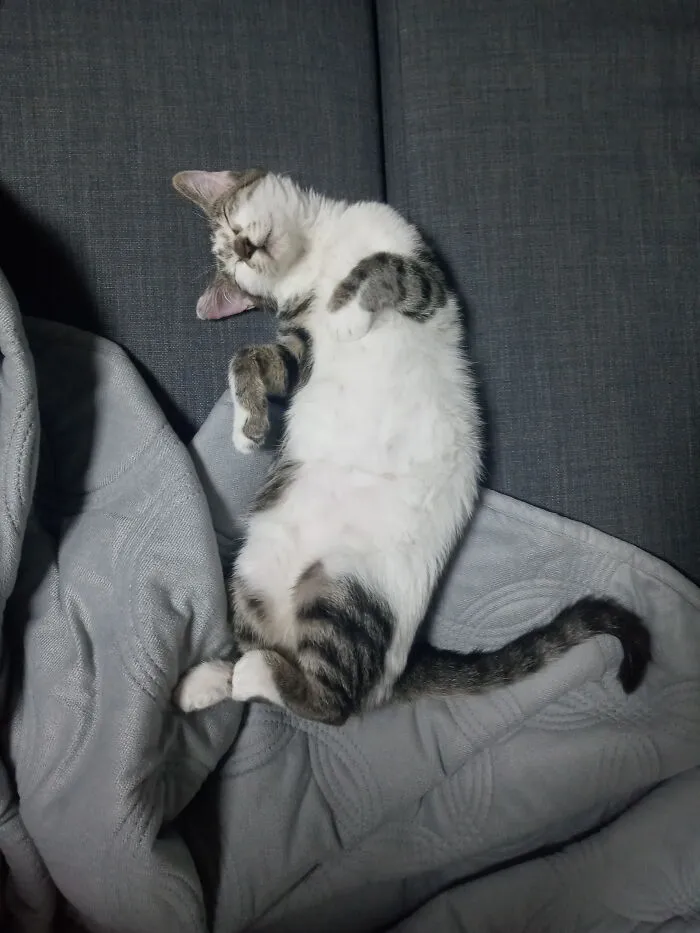 Always A Cute Sleeping Pose!