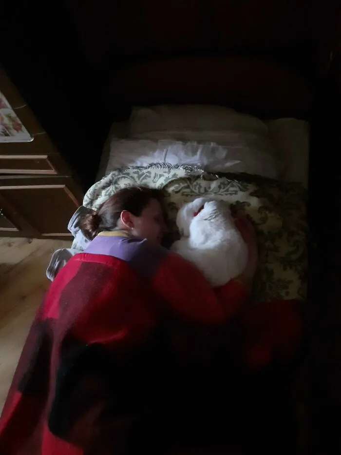 My GF And Her Cat
