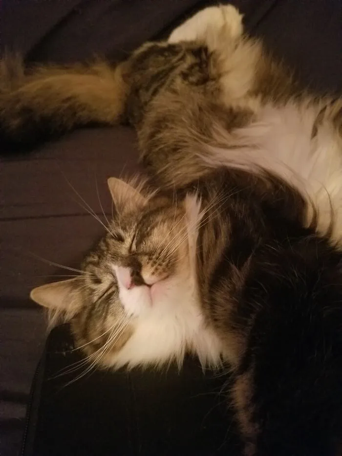 My Girlie Nova!
