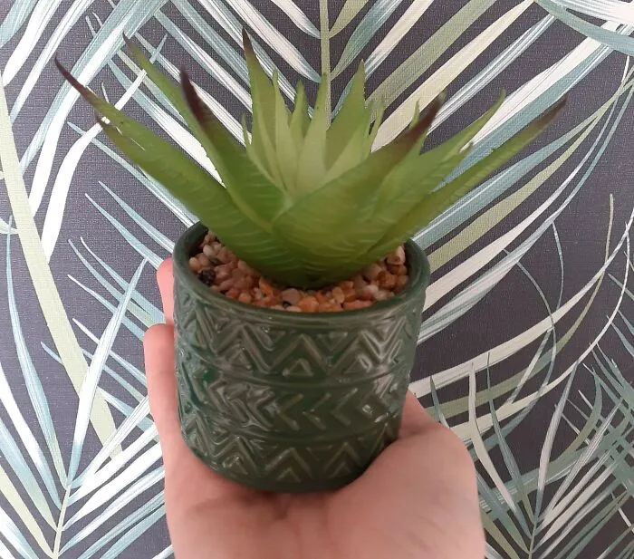 His Name...is Mike