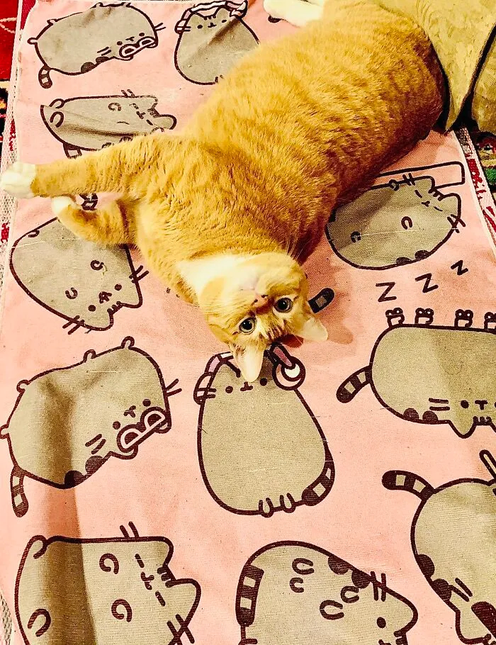 Red With Pusheen