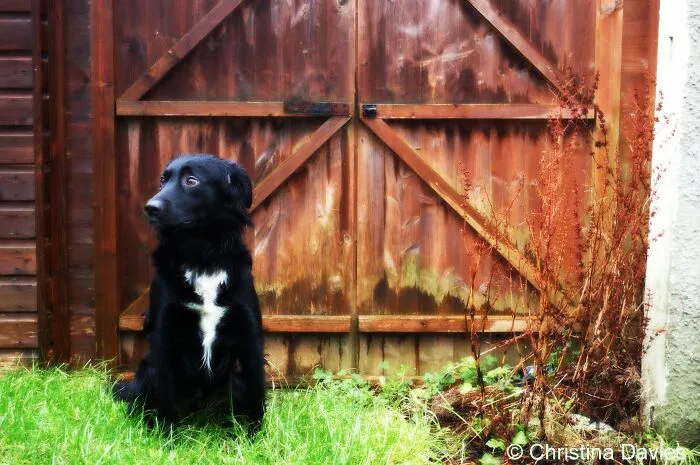 Shadow Posing