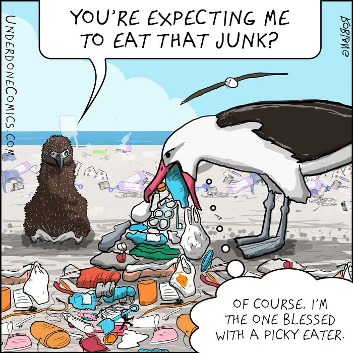 I Draw Comics To Show How Plastic Waste Affects Marine Life (30 Pics)