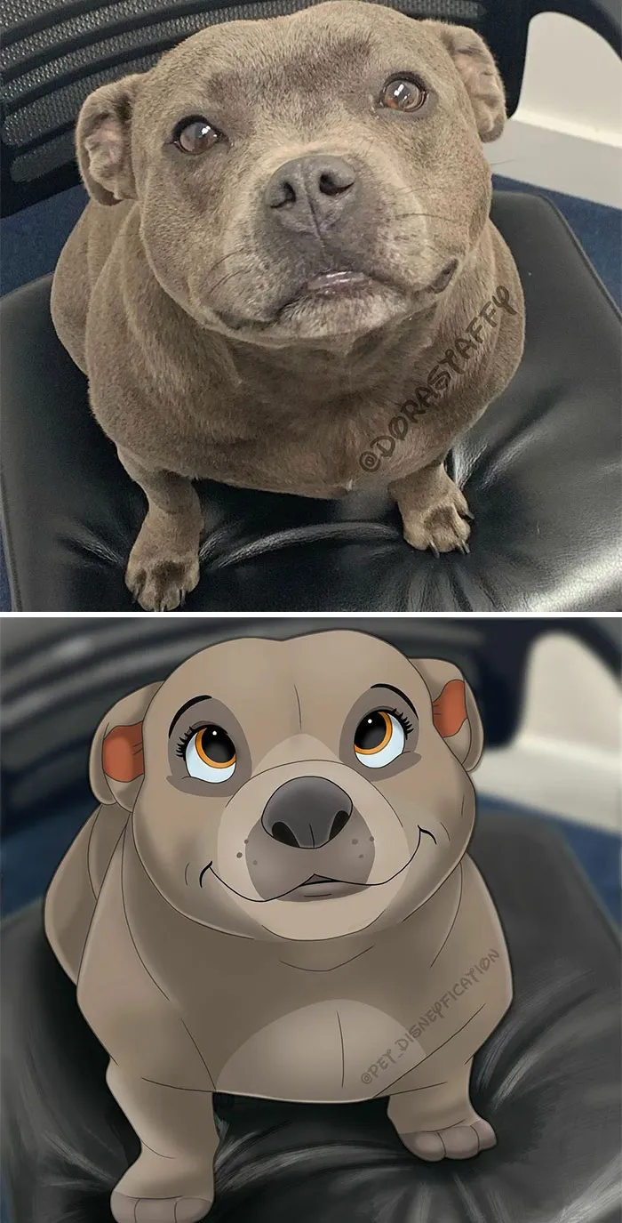 La gente envía fotos de sus mascotas a esta artista y ella las disneyfica (30 imágenes nuevas)
