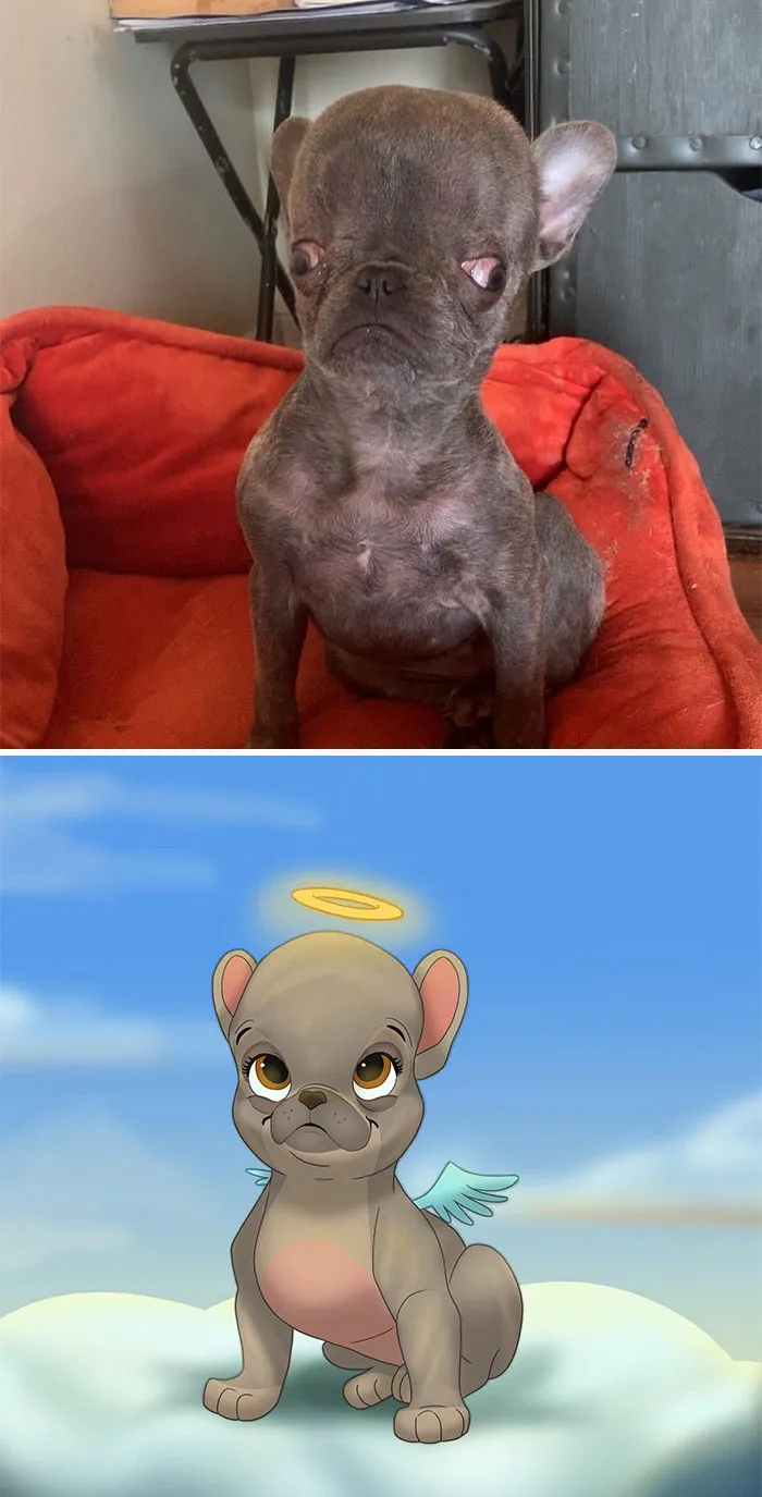 People Send Pics Of Their Pets To This Artist And She Disneyfies Them (30 New Pics)