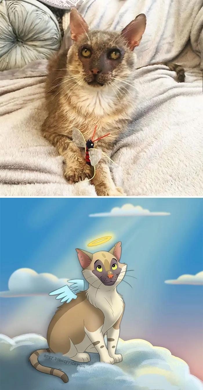 People Send Pics Of Their Pets To This Artist And She Disneyfies Them (30 New Pics)