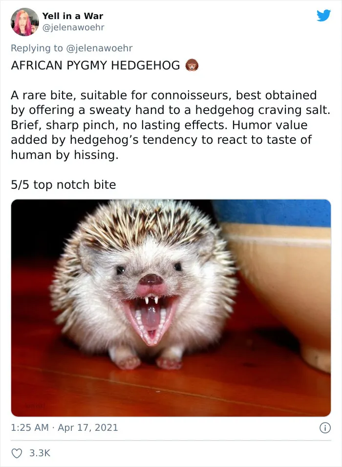 Woman On Twitter Educates People On Getting Bitten By These 20 Different Animals