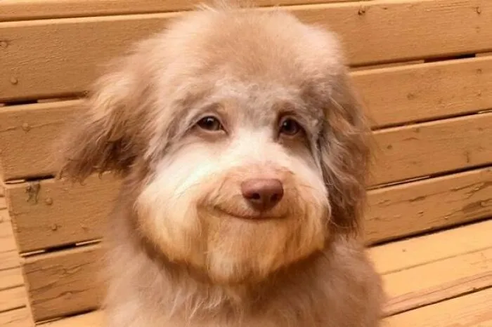 This Page Posts Pics Of Animals With Powerful Auras, And Here Are 50 Of The Most Interesting Pics (New Ones)