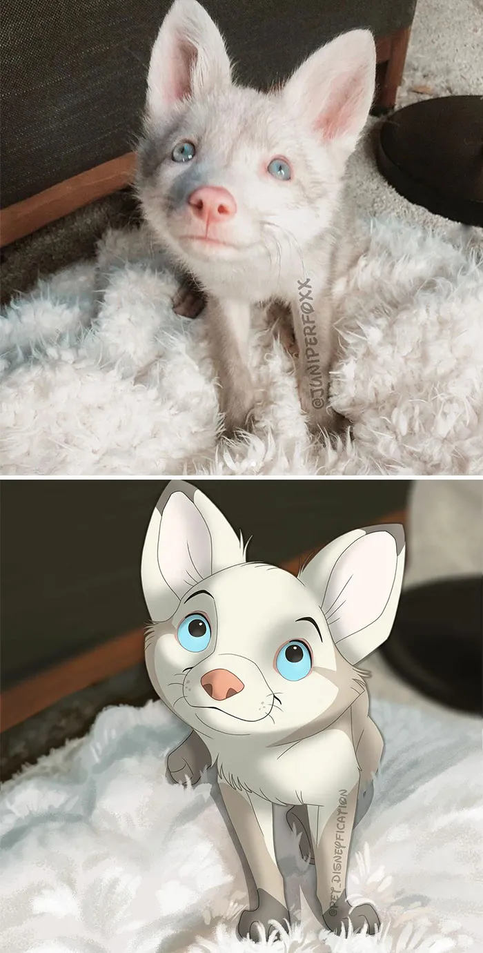 La gente envía fotos de sus mascotas a esta artista y ella las disneyfica (30 imágenes nuevas)