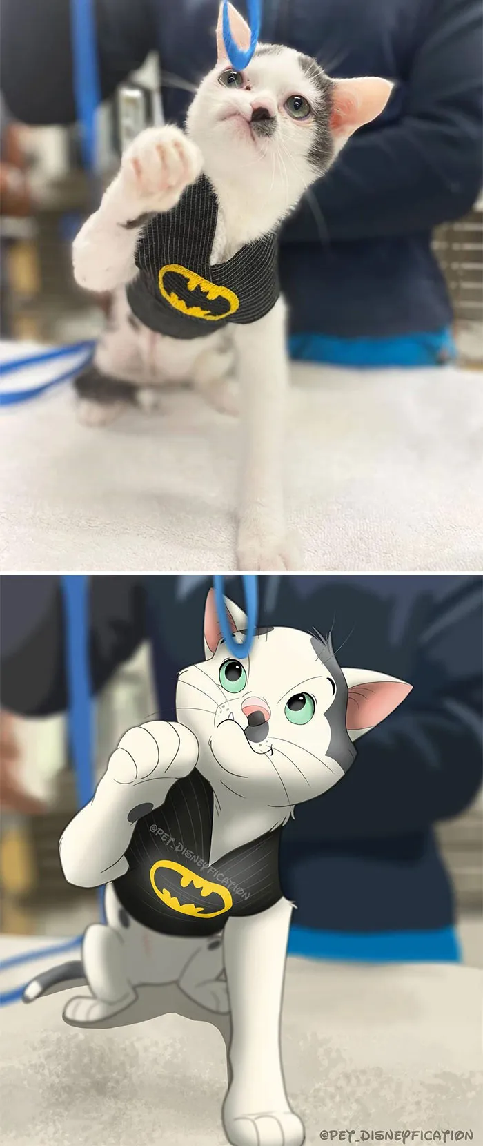 La gente envía fotos de sus mascotas a esta artista y ella las disneyfica (30 imágenes nuevas)