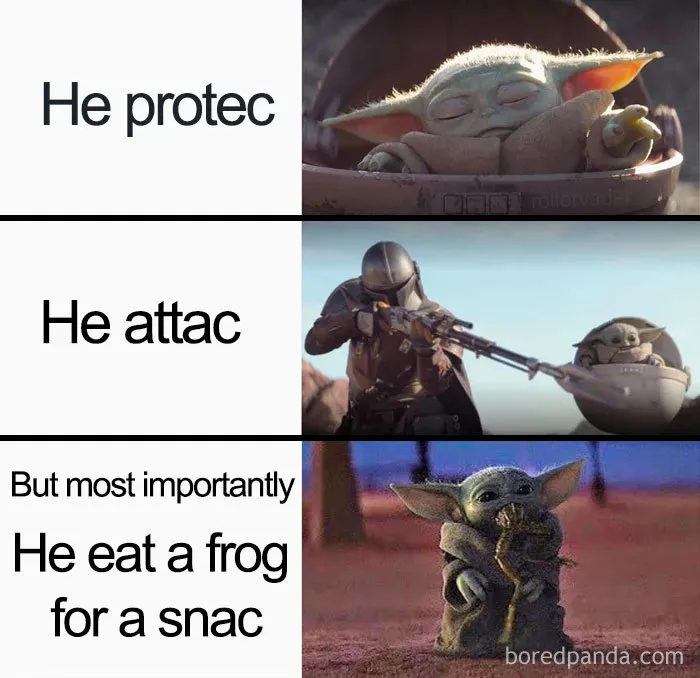 31 Memes