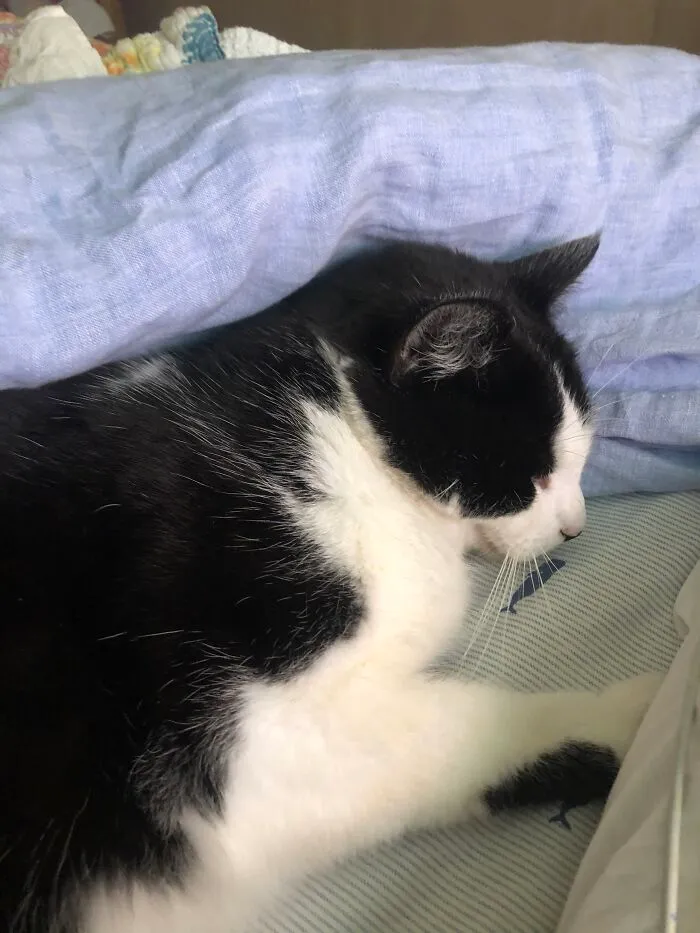 In Bed With A Panda