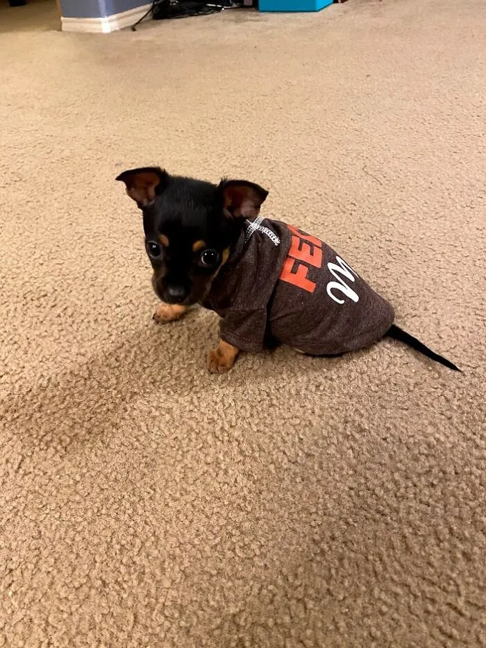 Dewy When He Was Little