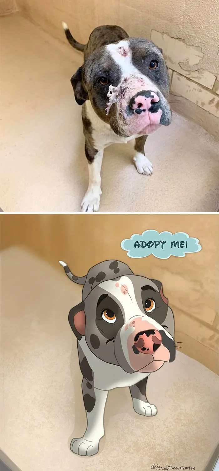 La gente envía fotos de sus mascotas a esta artista y ella las disneyfica (30 imágenes nuevas)