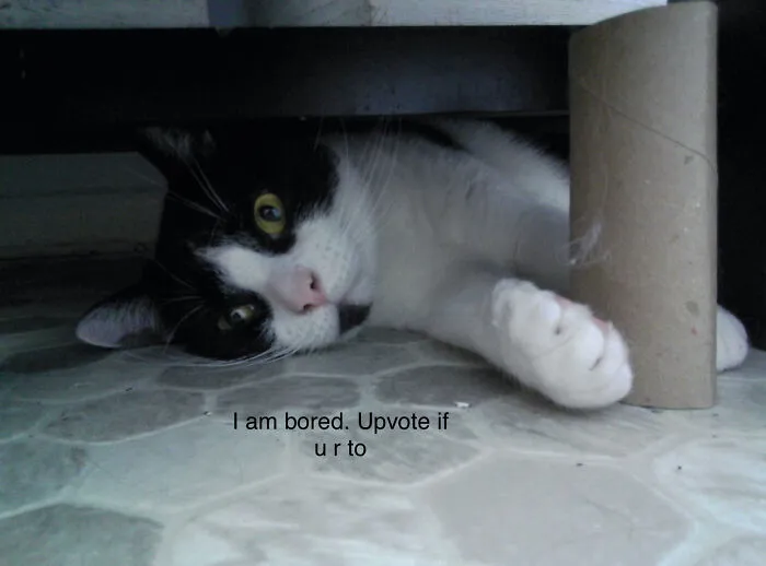 Ik It’s Upvote Begging