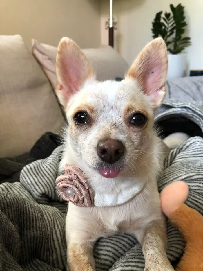 I Is So Pretty!