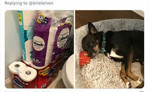 40 Twitter Users Share Pics Screaming ‘I’ve Been In Quarantine For Way Too Long’