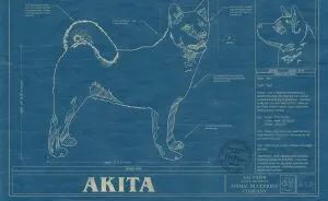 Here Are 5 Pics Of Dog Blueprint Art
