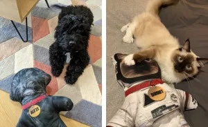 I Make Personalized Dolls Of Your Pets And The Results Are Totally Adorable