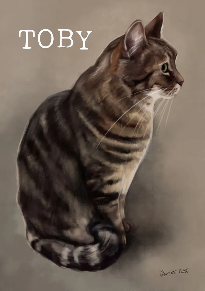 My Gorgeous Grandparents Cat Toby