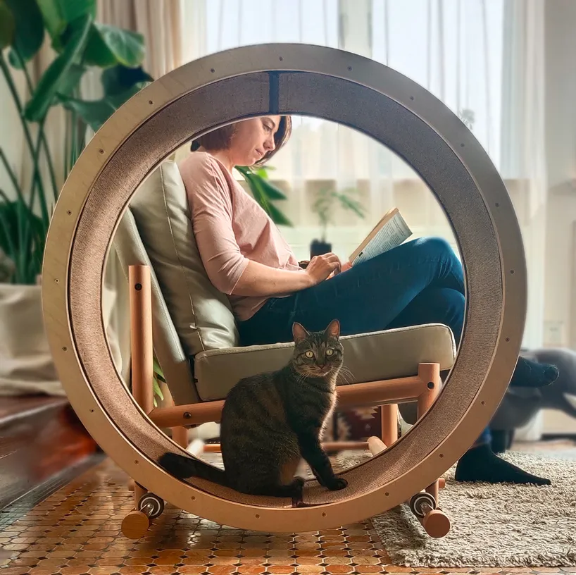 I Made This So We Can Hang Out With Our Cats!