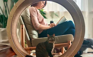I Made This So We Can Hang Out With Our Cats!