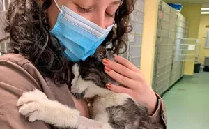 If You’re Feeling Down, These 50 Wholesome Pics Might Lift You Up (New Pics)