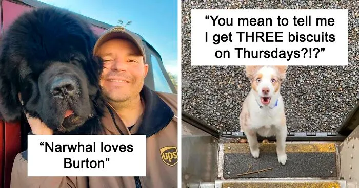 35 Times UPS Drivers Were Lucky To Meet Dogs On Their Routes And Shared The Pics On This Group (New Pics)