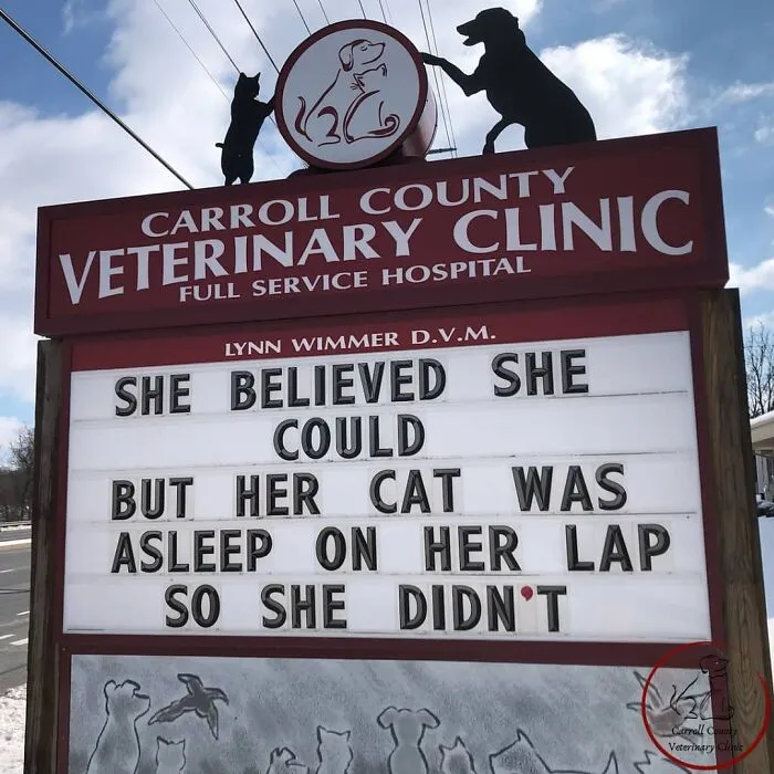 20 Divertidos carteles frente a esta clínica veterinaria que te harán sonreír
