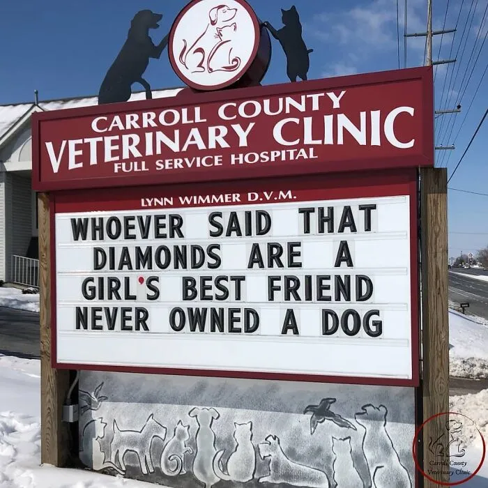 20 Divertidos carteles frente a esta clínica veterinaria que te harán sonreír