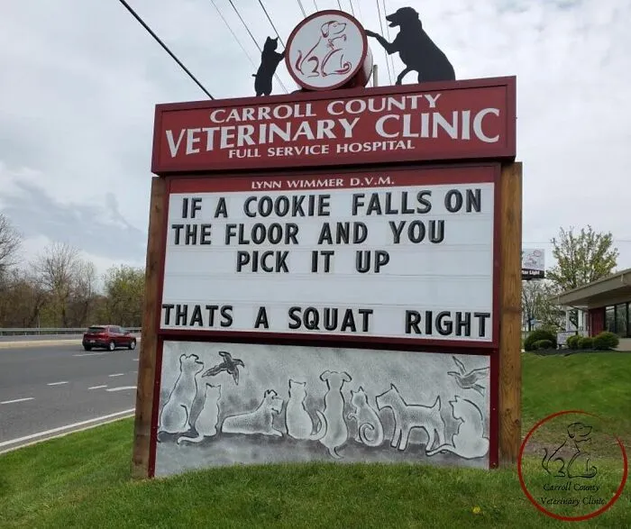 30 Of The Funniest Outdoor Signs From This Vet Clinic To Make You Crack A Smile (New Pics)