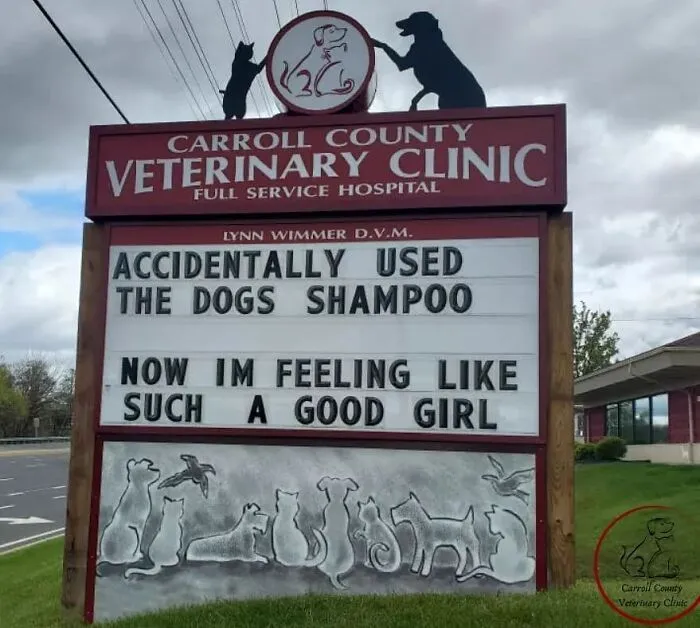 20 Divertidos carteles frente a esta clínica veterinaria que te harán sonreír