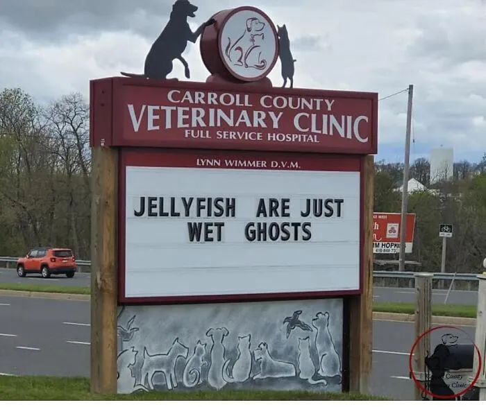 20 Divertidos carteles frente a esta clínica veterinaria que te harán sonreír