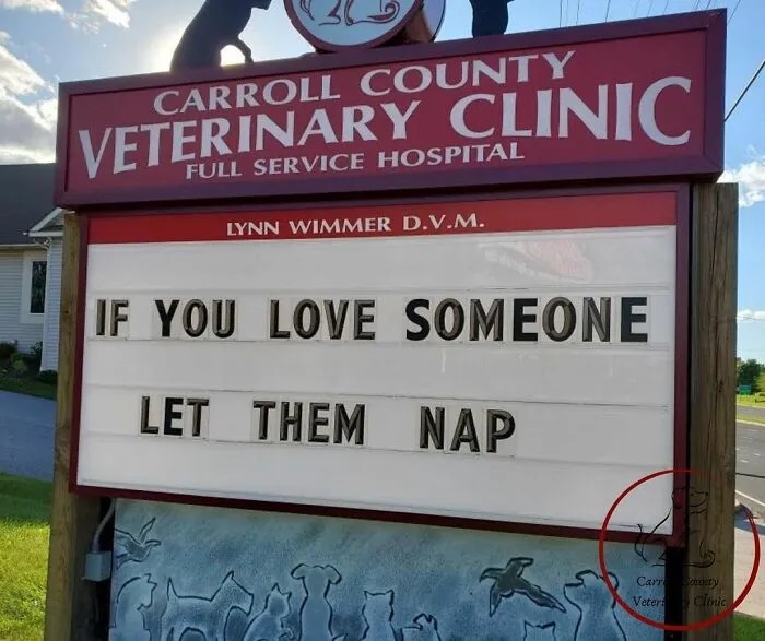 20 Divertidos carteles frente a esta clínica veterinaria que te harán sonreír